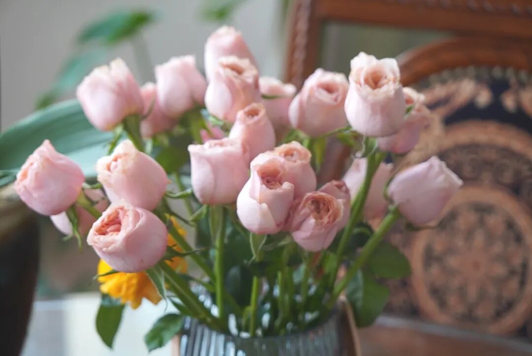 江蘇金鷹流體丨致敬金鷹“她”力量